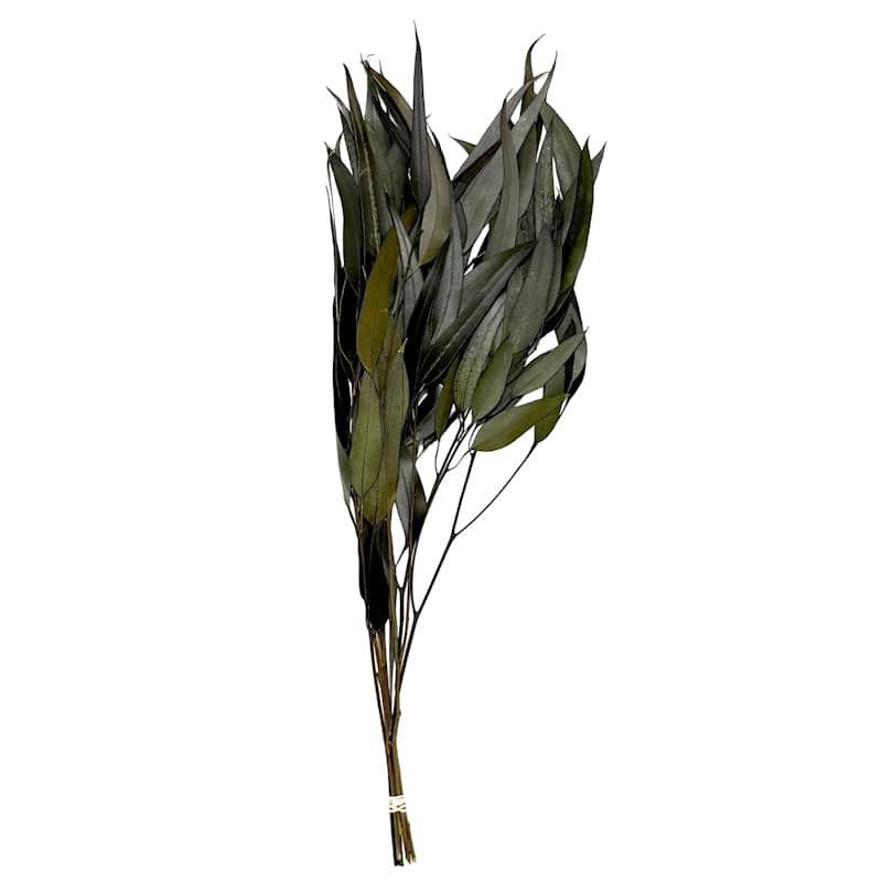 Dark Green Long Leaf Preserved Euculyptus Bunch, 28", Raffia, sold by At Home | At Home