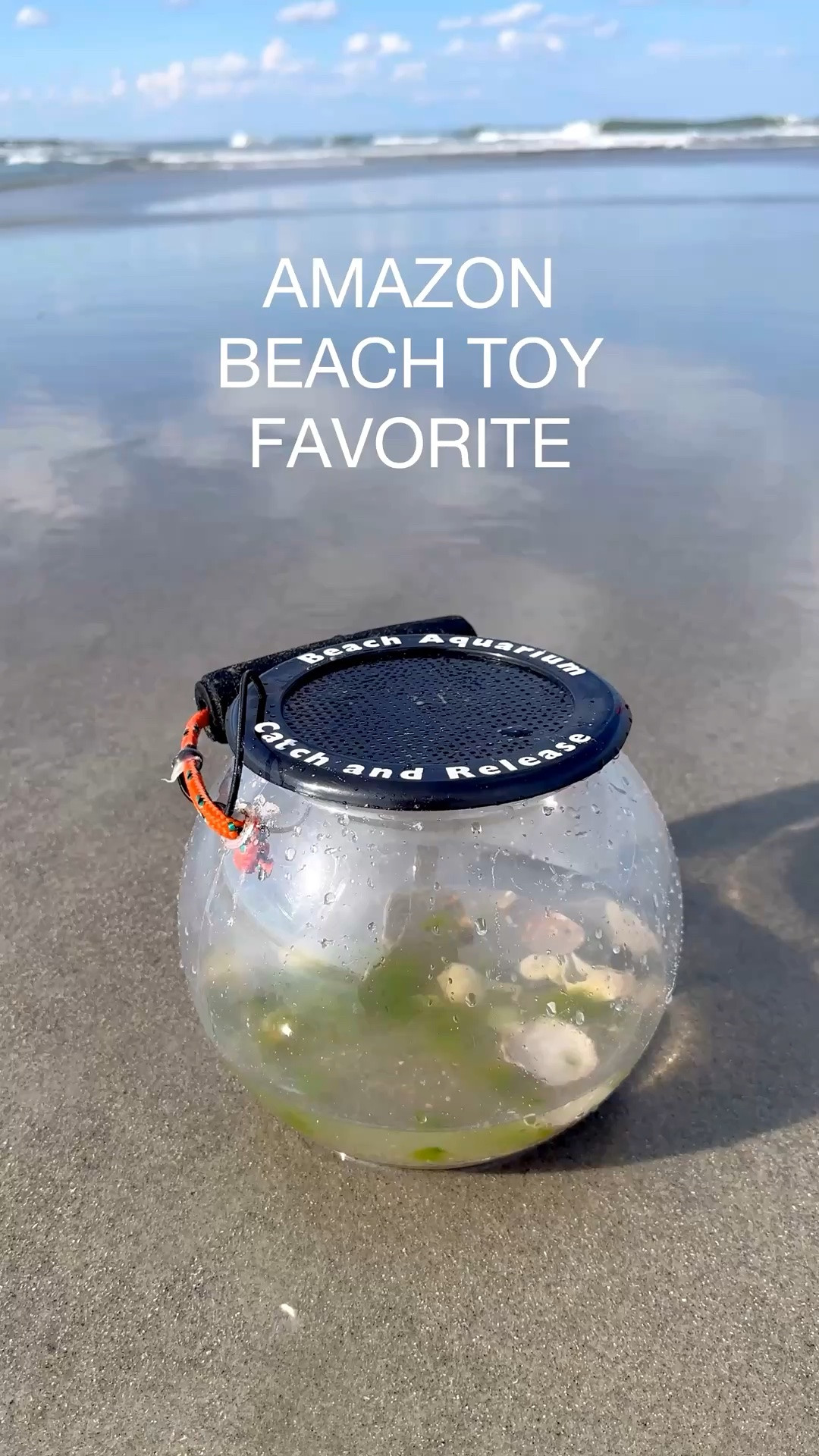 Beach Day Must Have 🐠🐚