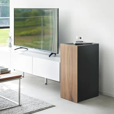 Yamazaki Home Video Game Storage Cabinet, Steel | Wayfair North America