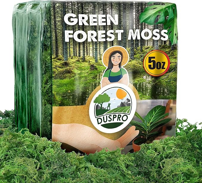 [Upgraded] DUSPRO Green Moss for Crafts, Forest Moss Potted Plants, Decorative Mosses for Table C... | Amazon (US)