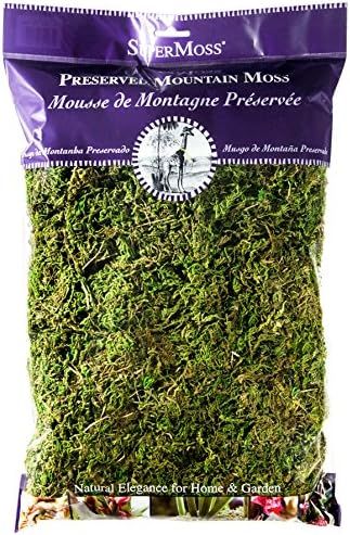 SuperMoss (23802) Mountain Moss Preserved, Fresh Green, 8oz | Amazon (US)