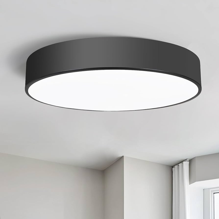 16 inch Round Flush Mount Ceinling Light Fixture, Contemporary 3-Light Modern Ceiling Light with ... | Amazon (US)
