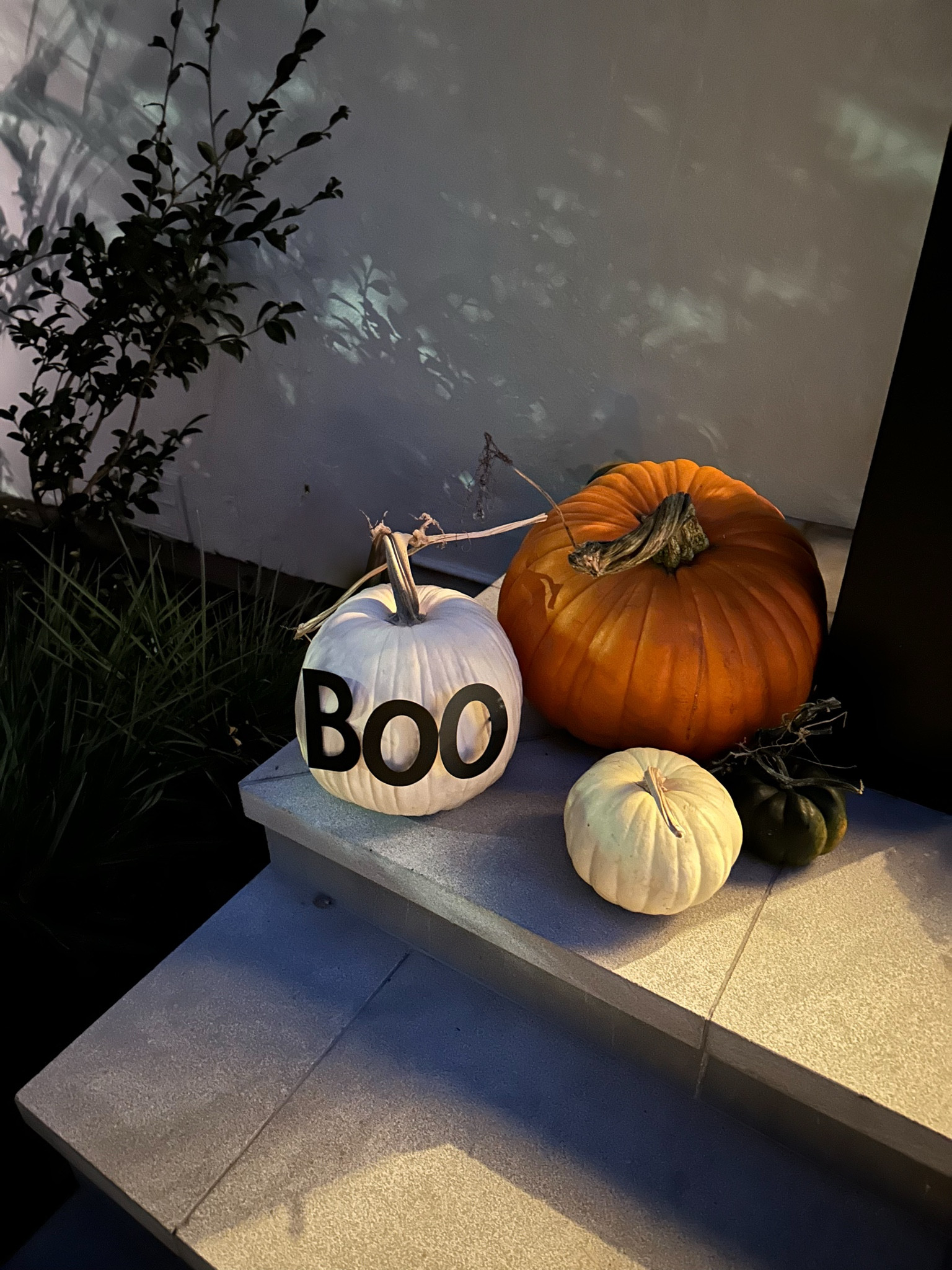 Simple Halloween porch decor 

Halloween, Halloween porch, Halloween decorating, pumpkins, fall decor

#LTKHome #LTKHalloween