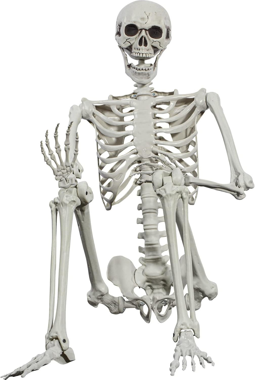 Halloween-Skelett 165cm realistische Lebensgröße posable menschliche Skelett Knochen mit beweglichen Gelenken für Halloween Spukhaus Dekoration (1PC) | Amazon (DE)