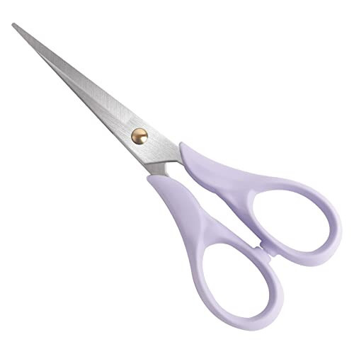 Aesthetic Purple Acrylic Scissors, 6.3" Craft Shears with Sharp Stainless Steel Blades for Home Office & School, Cute Stationery Tools for Bullet Journaling, Scrapbooking & Gift Wrapping | Amazon (US)