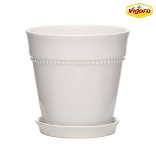 Vigoro 7.9 in. Ravanaey Small Glossy White Ceramic Planter (7.9 in. D x 7.9 in. H) With Drainage ... | The Home Depot