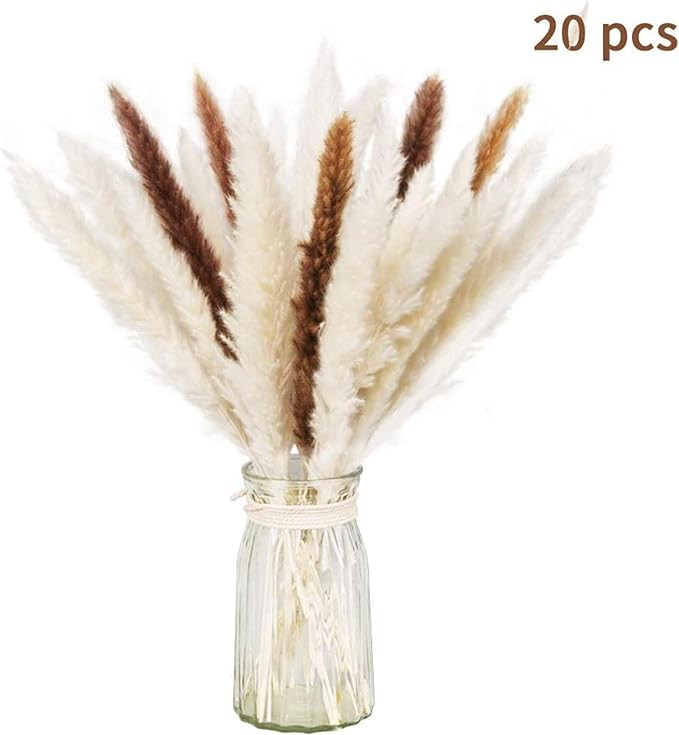 Dry Pampas Grass Natural Dried Bundle for Home Decor 20pcs(White+Brown) | Amazon (US)