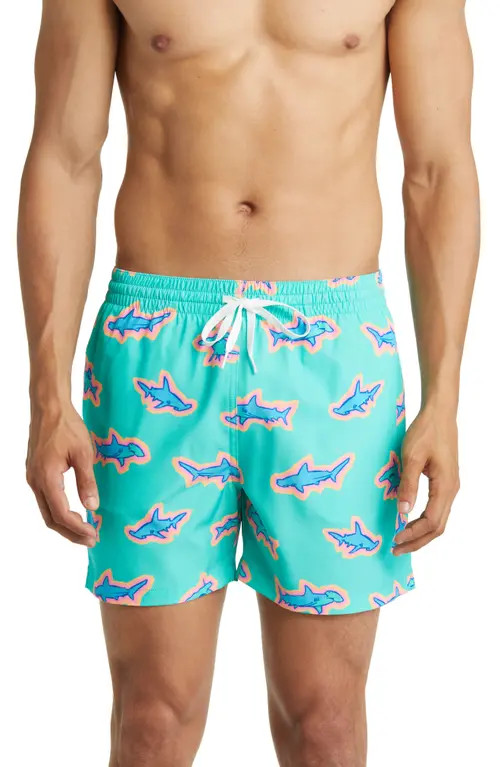 Chubbies 5.5-Inch Swim Trunks in Apex Swimmers at Nordstrom, Size Medium | Nordstrom