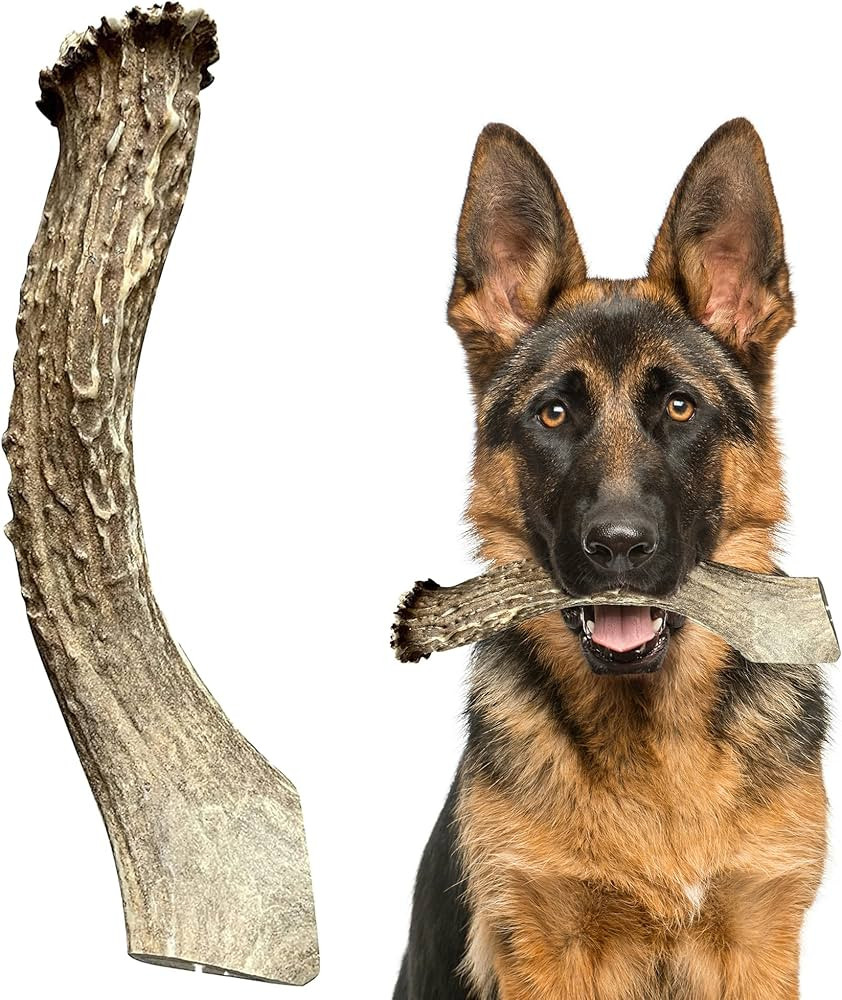 Heartland Deer Antlers for Dogs - Grade A, Naturally Shed Antlers | Dog Bones for Aggressive Chew... | Amazon (US)