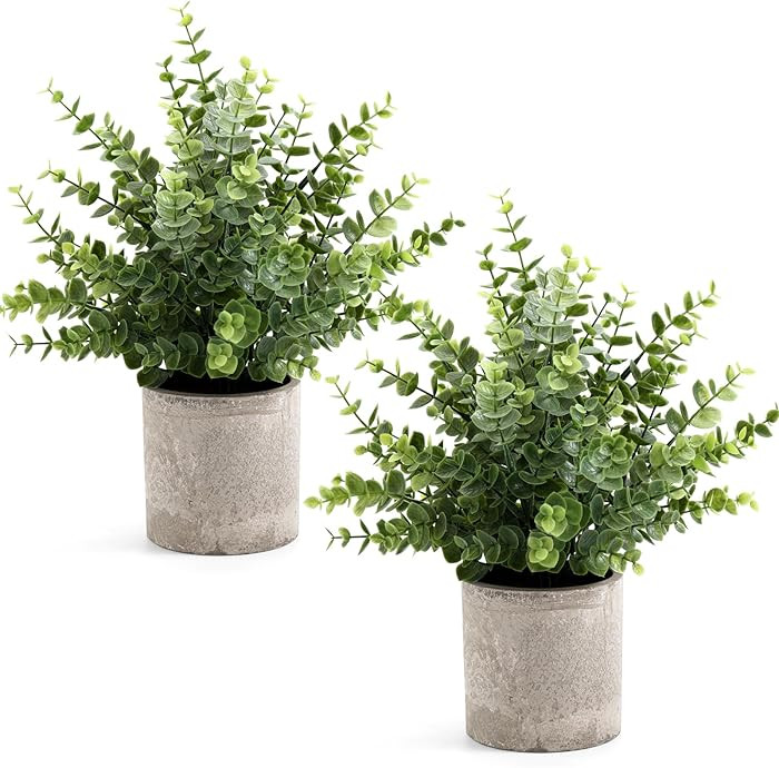 2 Pack Small Fake Plants 14" Eucalyptus Potted Artificial Plants for Shelf Desk Home Bathroom Far... | Amazon (US)