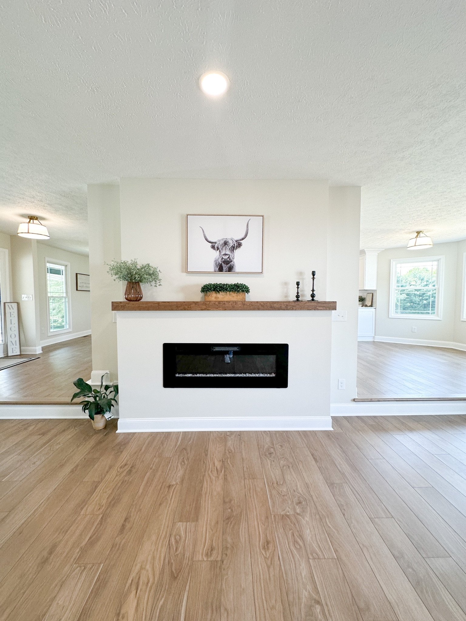 Electric fireplace // living room // custom fireplace 

#LTKunder100 #LTKhome #LTKFind