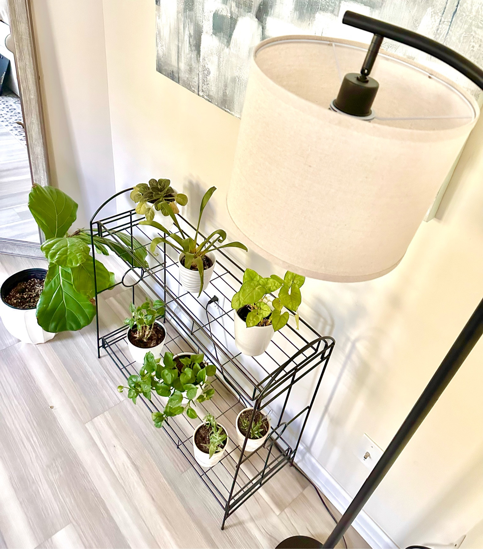 How to #decorate an empty wall ❤️🌿🛋️

#home #amazon 

#LTKfamily #LTKfindsunder50 #LTKhome