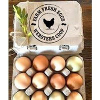 Custom Egg Cartons Stamps, Chicken Coop Gift For Friend, Personalized Carton Farm Fresh Eggs Large Rubber Stamp Backyard Hobby Homestead | Etsy (US)
