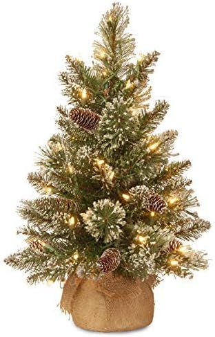 National Tree Company Pre-lit Artificial Mini Christmas Tree | Includes Small LED Lights, White T... | Amazon (US)