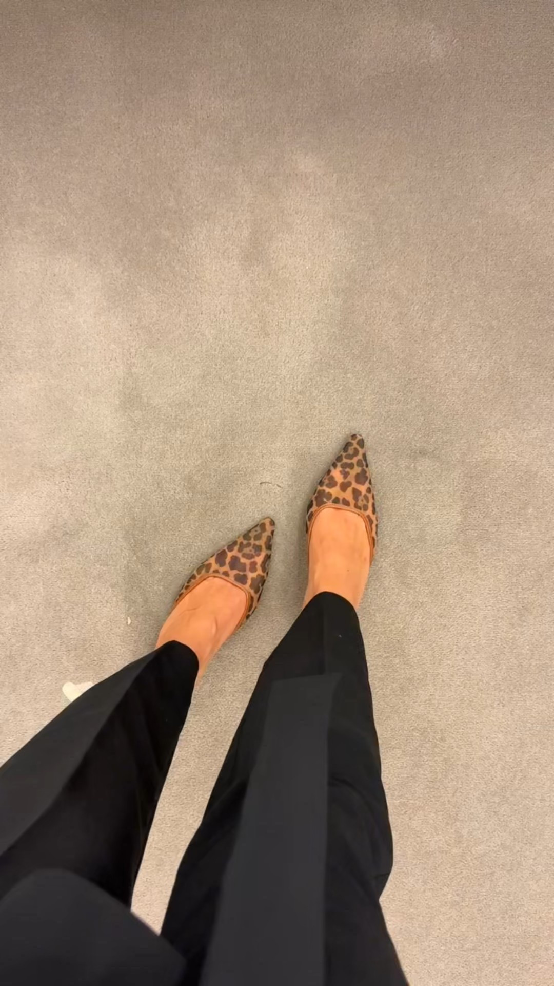 Nsale - Office fit inspo! These pointed toe mules w 2.5” heel 🐆 5 colors available - a fall staple!

office outfit, work fit, elevated style, interview fit, fall style, fall fashion, leopard heels, leopard accessories, mesh shoe, trendy shoe, work outfit 

#LTKSaleAlert #LTKWorkwear

#LTKShoeCrush