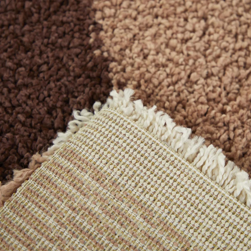 Camilo Rainbow Shag Area Rug | Wayfair North America