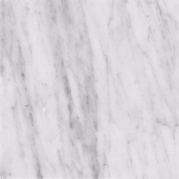 Carrara 18" x 18" Marble Field Tile | Wayfair North America