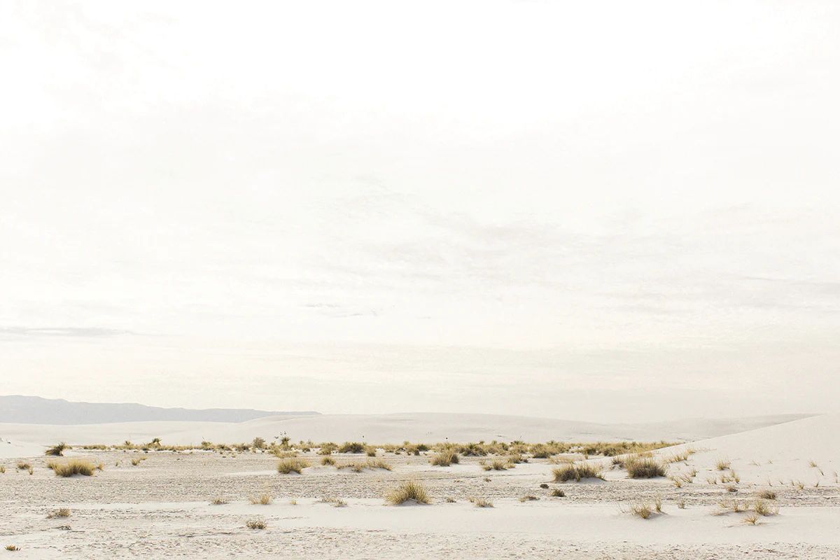 WHITE SANDS Large Wall Art Landscape Photography by Sarah Ellefson | Juniper Print Shop