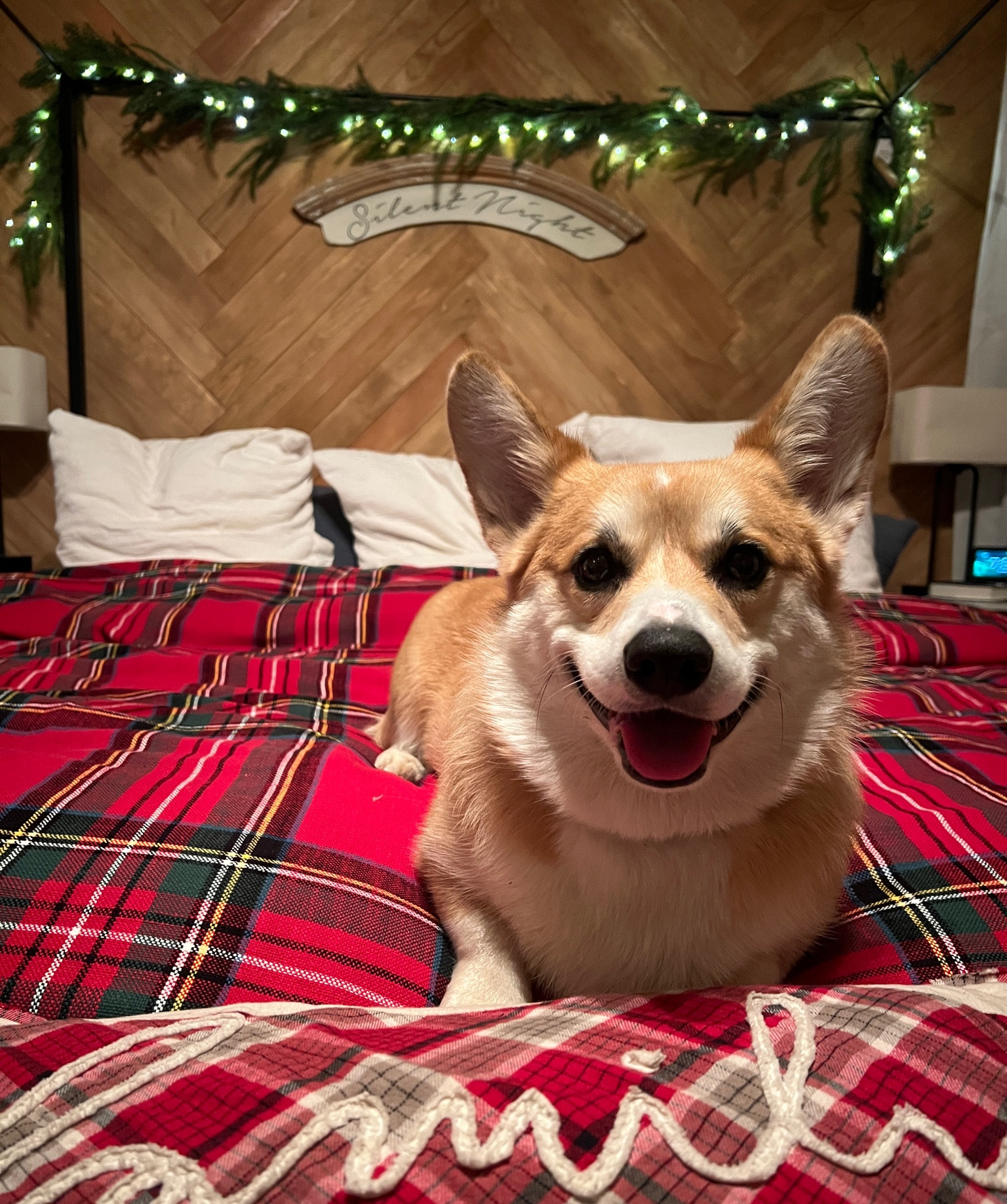 Feeling the Christmas vibes at grandma’s house🎄❤️ this duvet cover from Pottery Barn is pawfection 

#LTKGiftGuide #LTKSeasonal #LTKHoliday