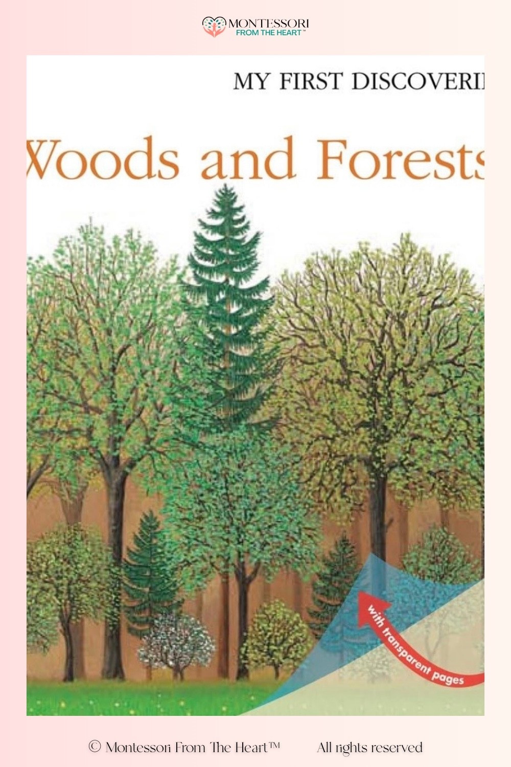 Woods and Forests ~ My First Discoveries Series ~ Books for Kids 

#LTKKids #LTKHome #LTKstorytime
