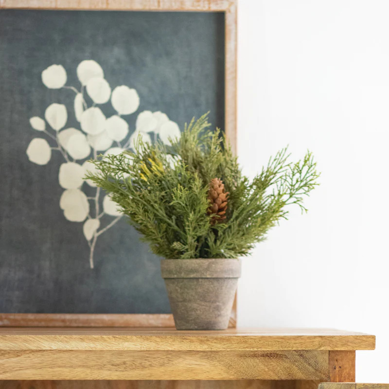 Cedar Potted Greens | Purple Rose Home