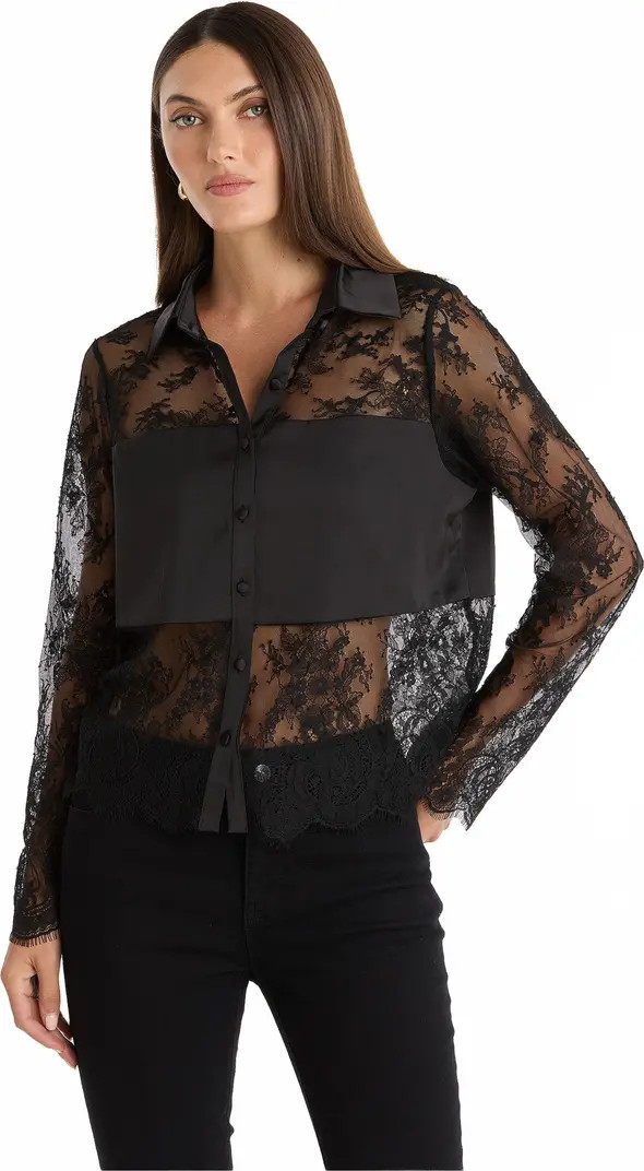 The Noli Shop Vienna Lace Blouse | Nordstrom | Nordstrom