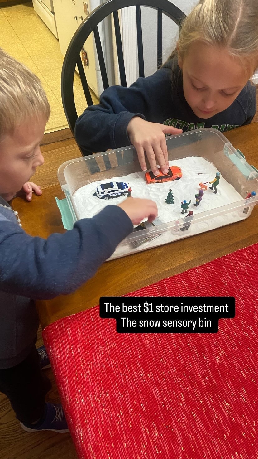 The best $1 store investment 
The snow sensory bin
A pan and baking soda. William will play with this on and off for months.  

#LTKKids