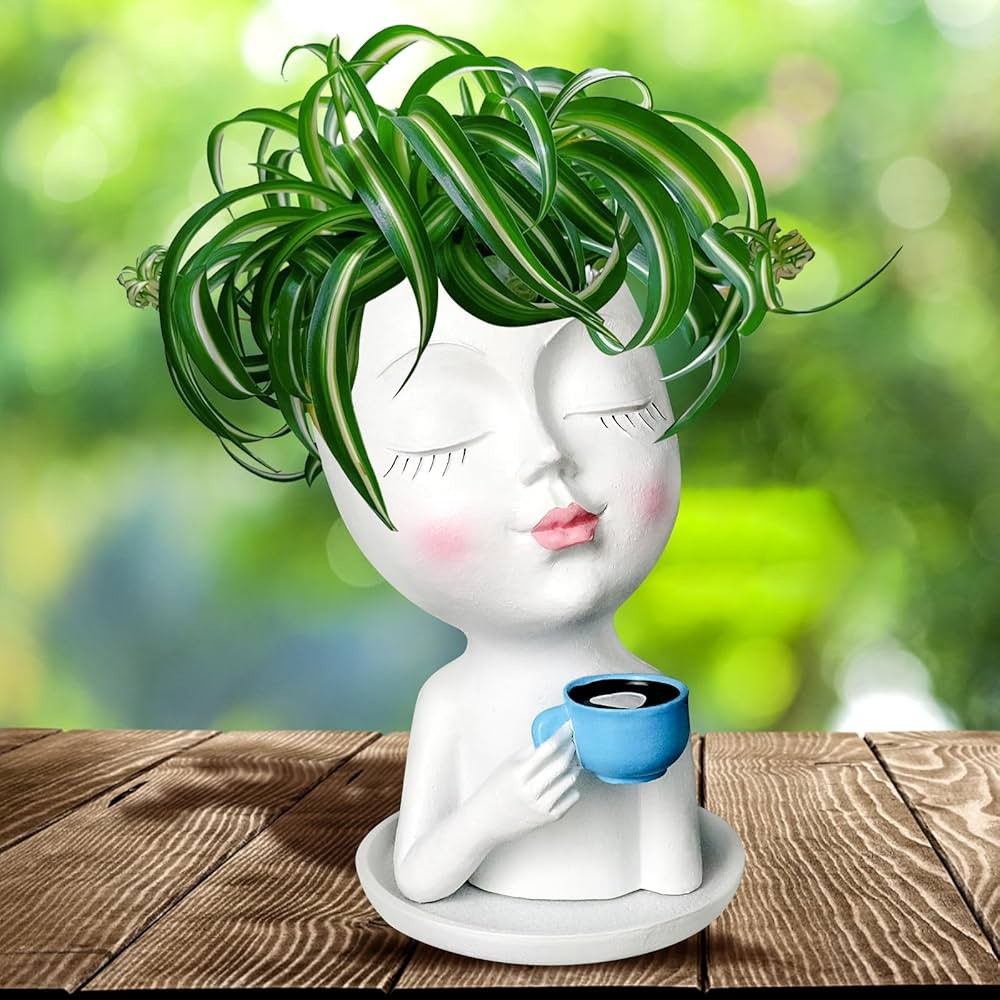 Face Flower Pot Head Planter for Indoor Outdoor, Unique Succulent Planter with Drainage Hole, Cut... | Amazon (US)
