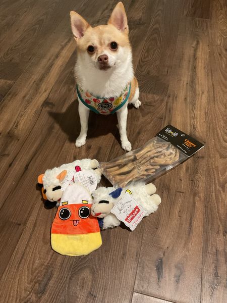 toy and treat haul🦴🐾
