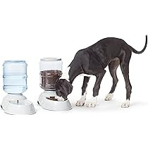 AmazonBasics Gravity Pet Food Feeder and Water Dispensers | Amazon (US)