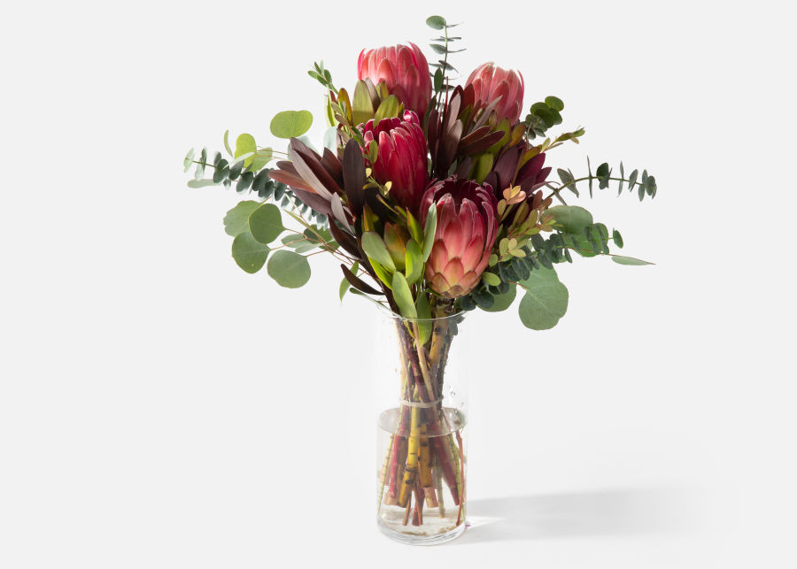 The Catalina | UrbanStems