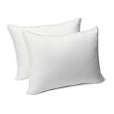 Amazon Basics Down-Alternative Pillow and Pillow Protector Case Set, Soft Density, King - Pack of 2 | Amazon (US)