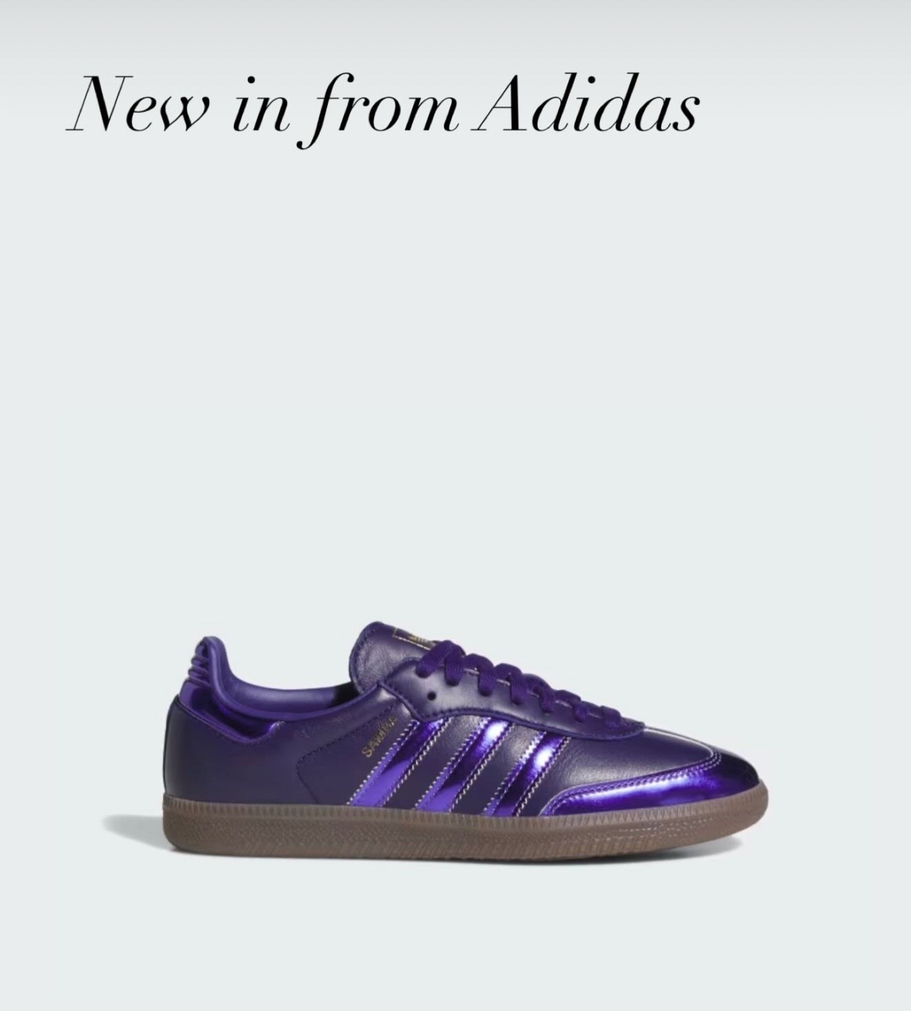 Coolest sneakers