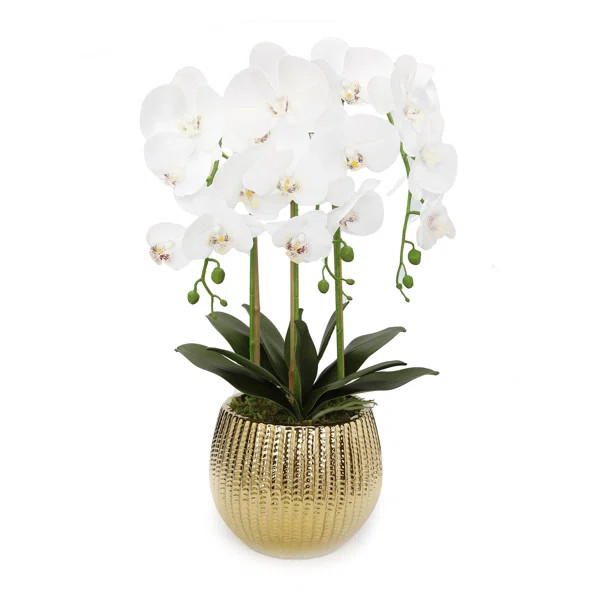Orchid Centerpiece in Vase | Wayfair North America