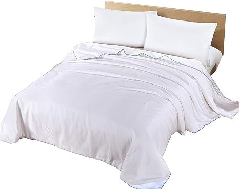 Silk Camel Luxury Comforter Filled with 100% Natural Long Strand Mulberry Silk for Summer - Twin ... | Amazon (US)