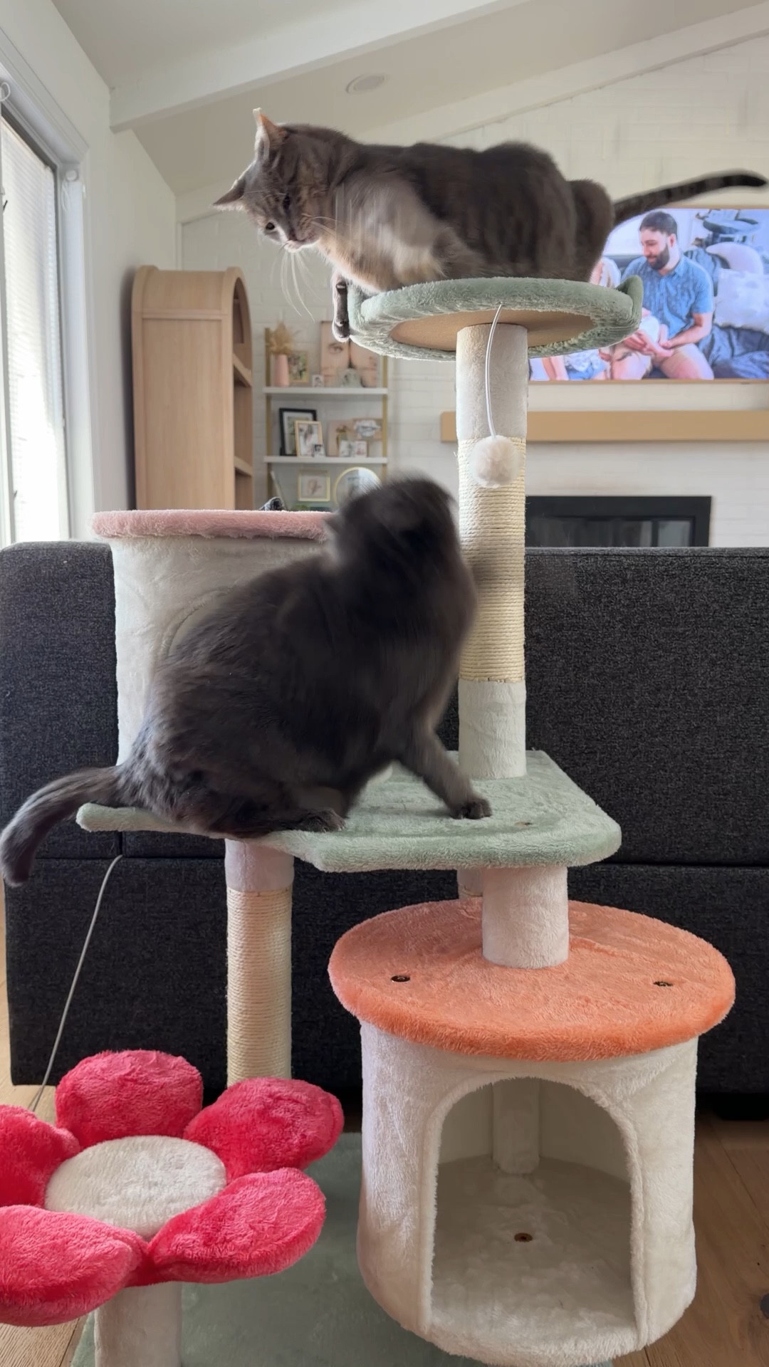 Adorable pastel cat tower! Our living room needed a cat tree refresh and this one has such cute pops of color  

#ltkhome