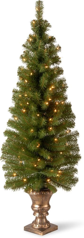 National Tree Company Pre-lit Artificial Christmas Tree For Entrances | Includes Pre-strung White... | Amazon (US)