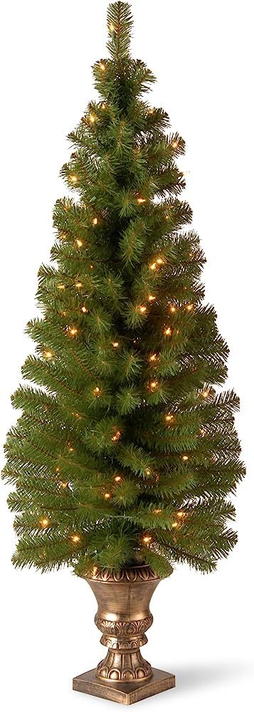 National Tree Company Pre-lit Artificial Christmas Tree For Entrances | Includes Pre-strung White... | Amazon (US)