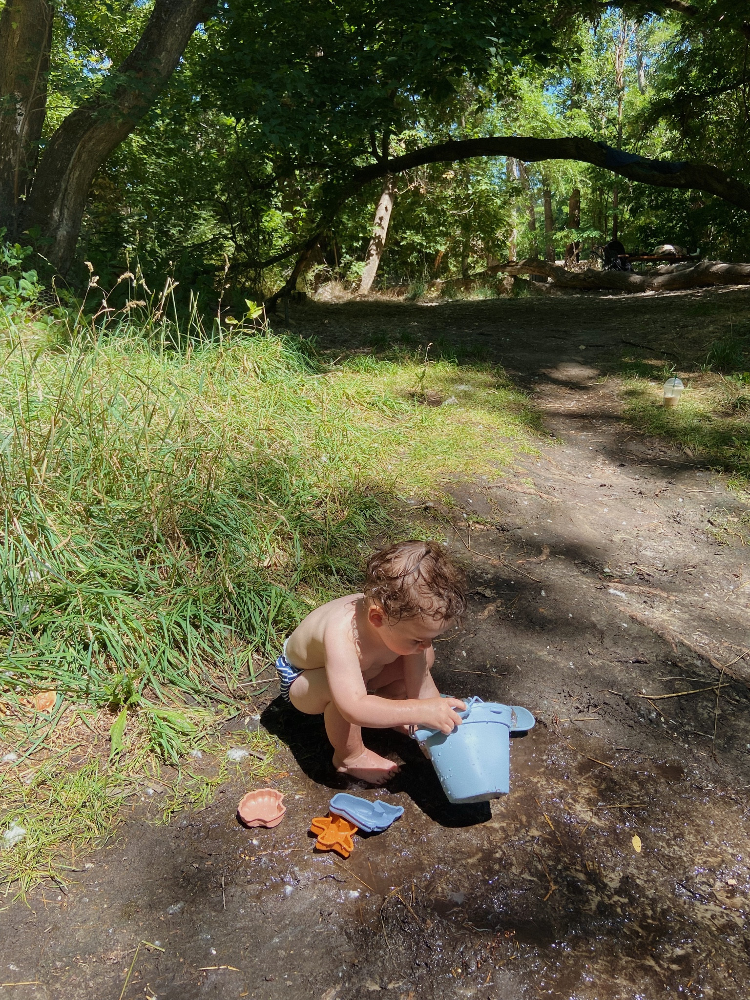 shep can play with these silicone sand toys for days .. perf for the beach, river, etc. ! 