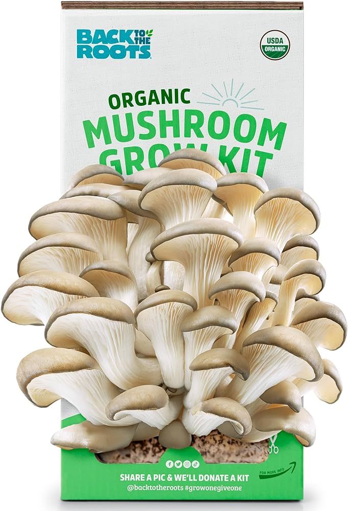 Back to the Roots Organic Oyster Mushroom Grow Kit, Harvest Gourmet Mushrooms In 10 Days | Amazon (US)