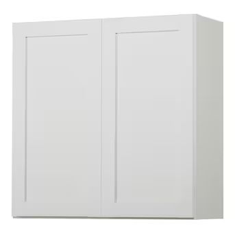 Diamond NOW Arcadia 30-in W x 30-in H x 12-in D White Door Wall Fully Assembled Cabinet (Recessed... | Lowe's