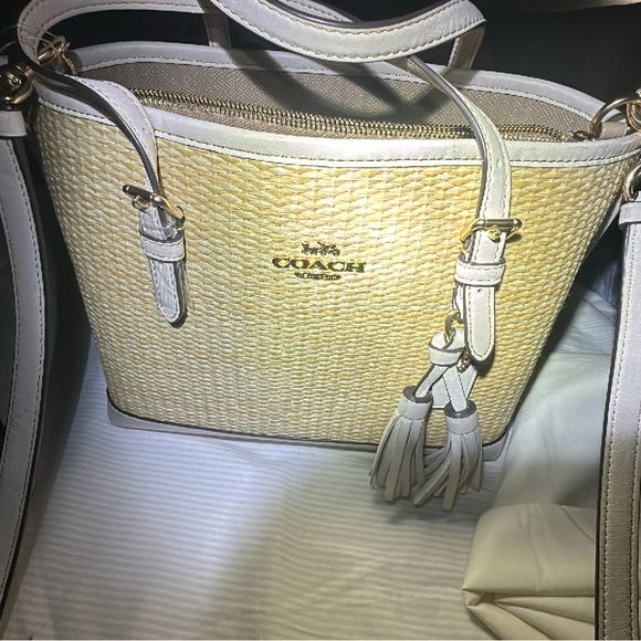 Coach Mollie Straw Tote | Poshmark