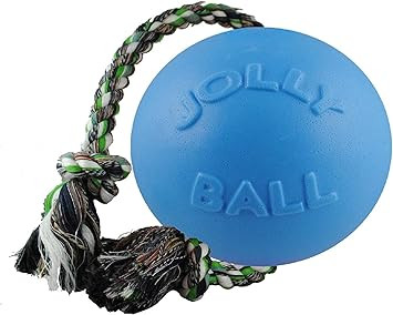 Jolly Pets Romp-n-Roll Rope and Ball Dog Toy, 6 Inches/Medium, Blueberry, Model Number: 606 BB, A... | Amazon (US)