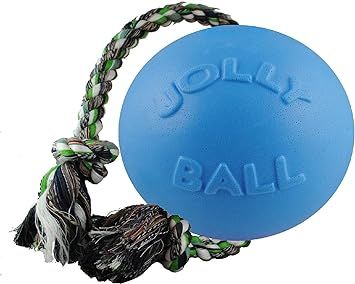 Jolly Pets Romp-n-Roll Rope and Ball Dog Toy, 6 Inches/Medium, Blueberry, Model Number: 606 BB, A... | Amazon (US)