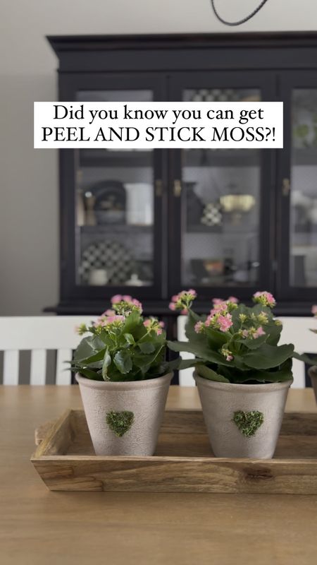 Valentine Centerpiece Idea
Large tray and flower pots, and you can make the hearts with peel and stick moss! So easy! 

#LTKfindsunder50 #LTKhome #LTKSeasonal