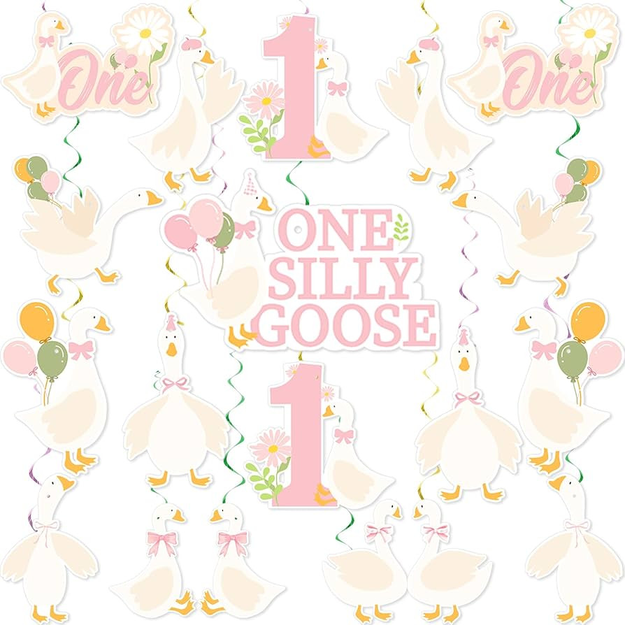 One Silly Goose 1st Birthday Party Decoration Silly Goose Hanging Birthday Swirl for Girls Pink B... | Amazon (US)