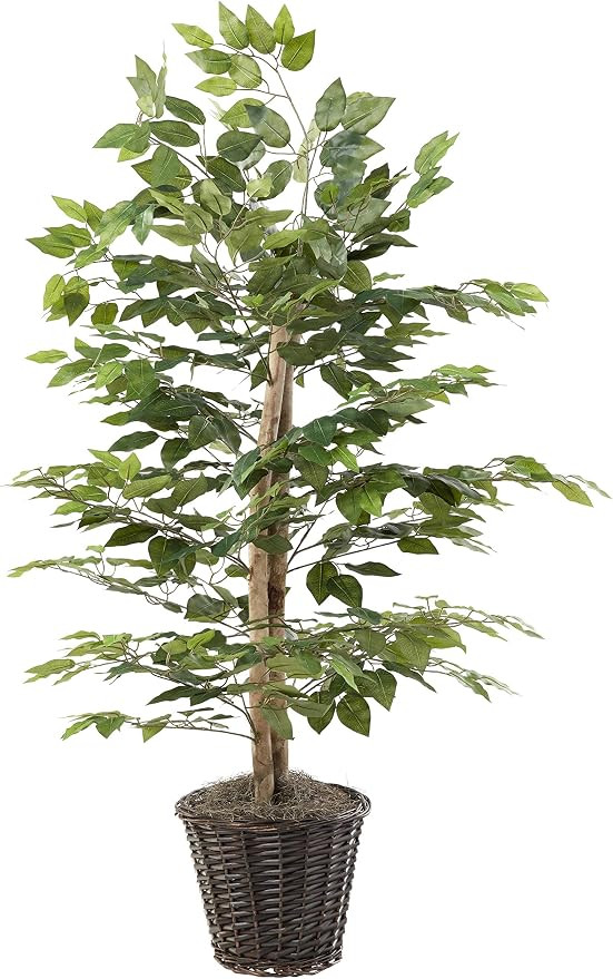 Vickerman Everyday 4' Artificial Ficus Bush Potted in a Rattan Basket - Lifelike Home Office Deco... | Amazon (US)