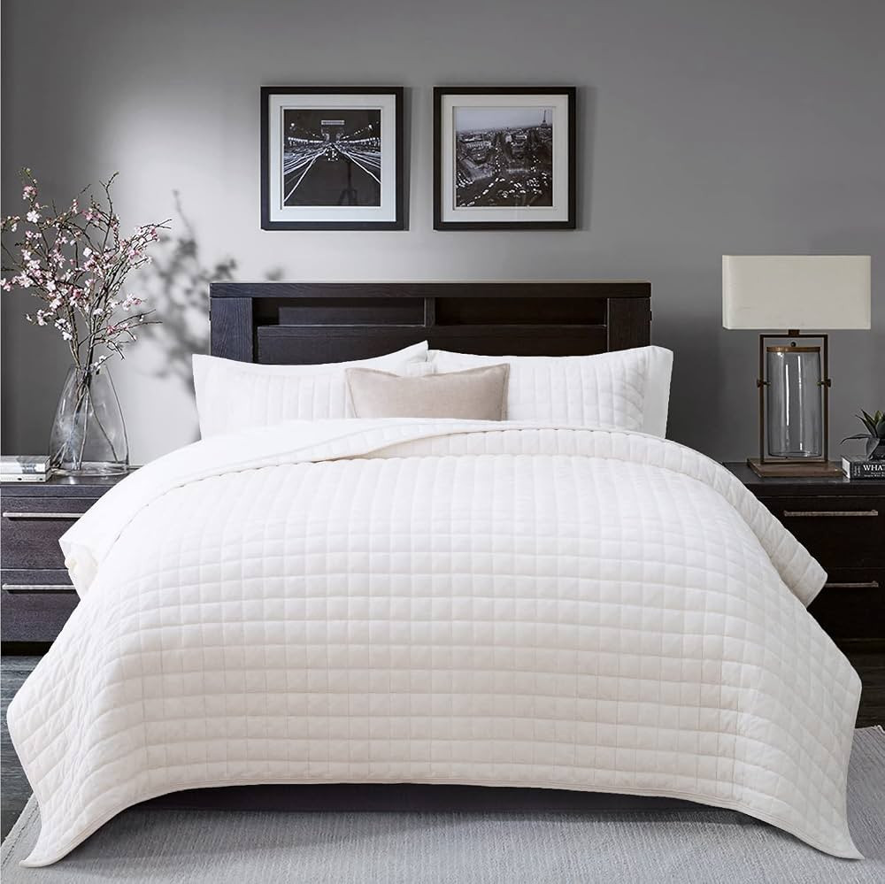 RECYCO Luxury Velvet Quilt Set King Size, Lightweight Velvet Comforter Set, Oversized Bedspread C... | Amazon (US)