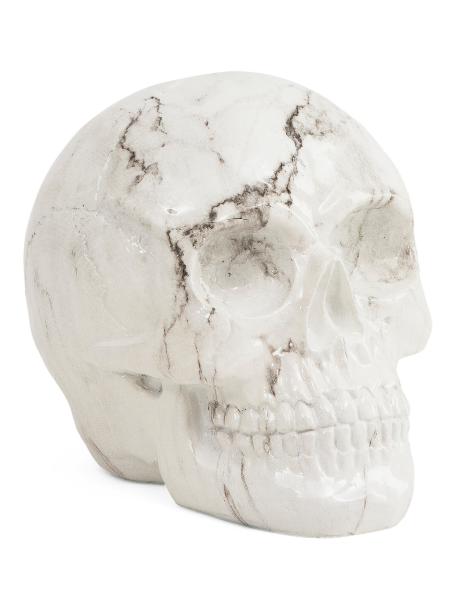 6x6x7.5 Decorative Skull | TJ Maxx