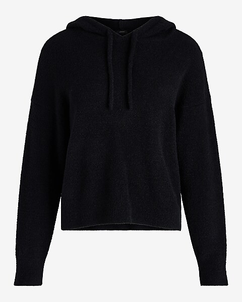 Plush Knit Hooded Sweater | Express